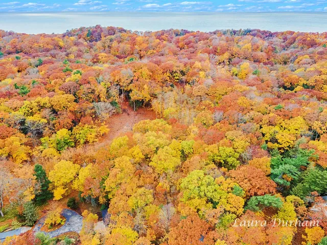 $195,000 | Vl Park Street, Saugatuck, MI 49453