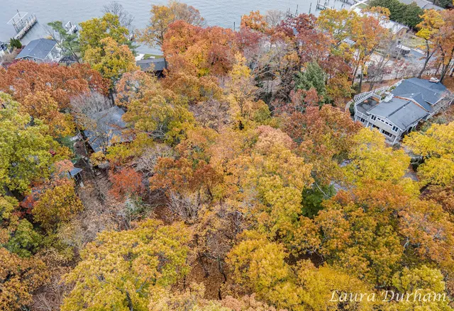 $195,000 | Vl Park Street, Saugatuck, MI 49453