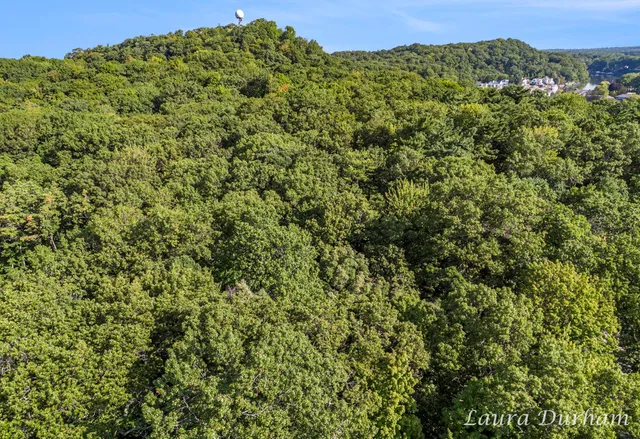 $195,000 | Vl Park Street, Saugatuck, MI 49453