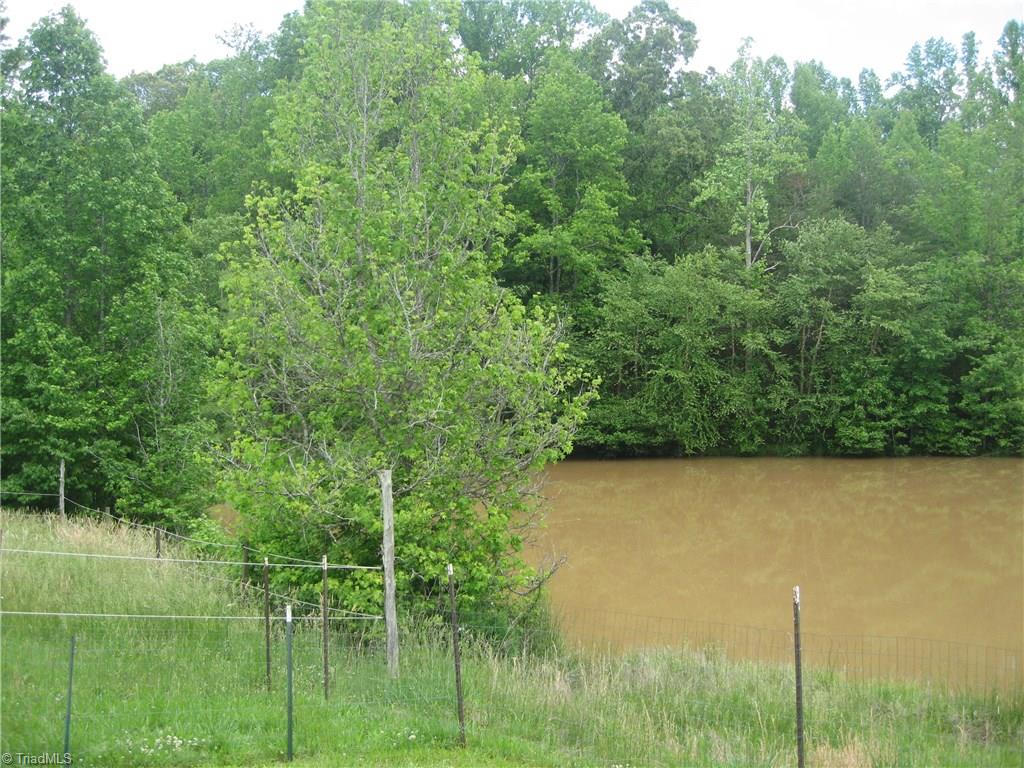 330 Crumpton Road Reidsville, NC 27320 - Photo 11 of 28 Backyard view