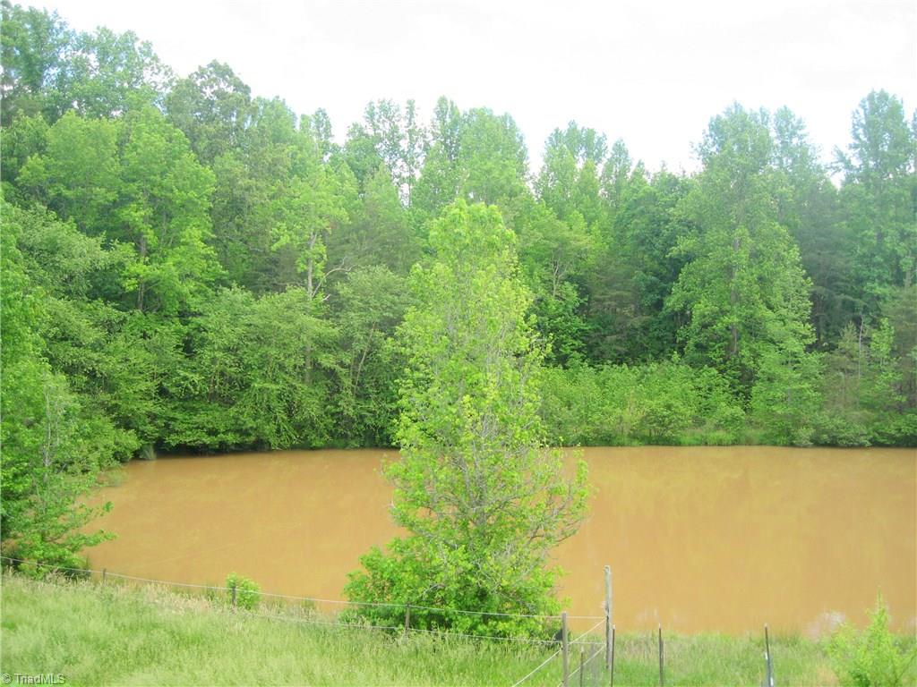 330 Crumpton Road Reidsville, NC 27320 - Photo 14 of 28 Large Stocked Pond