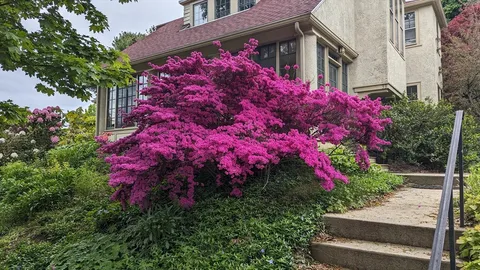 $1,875,000 | 33 Lombard Road, Arlington, MA 02476