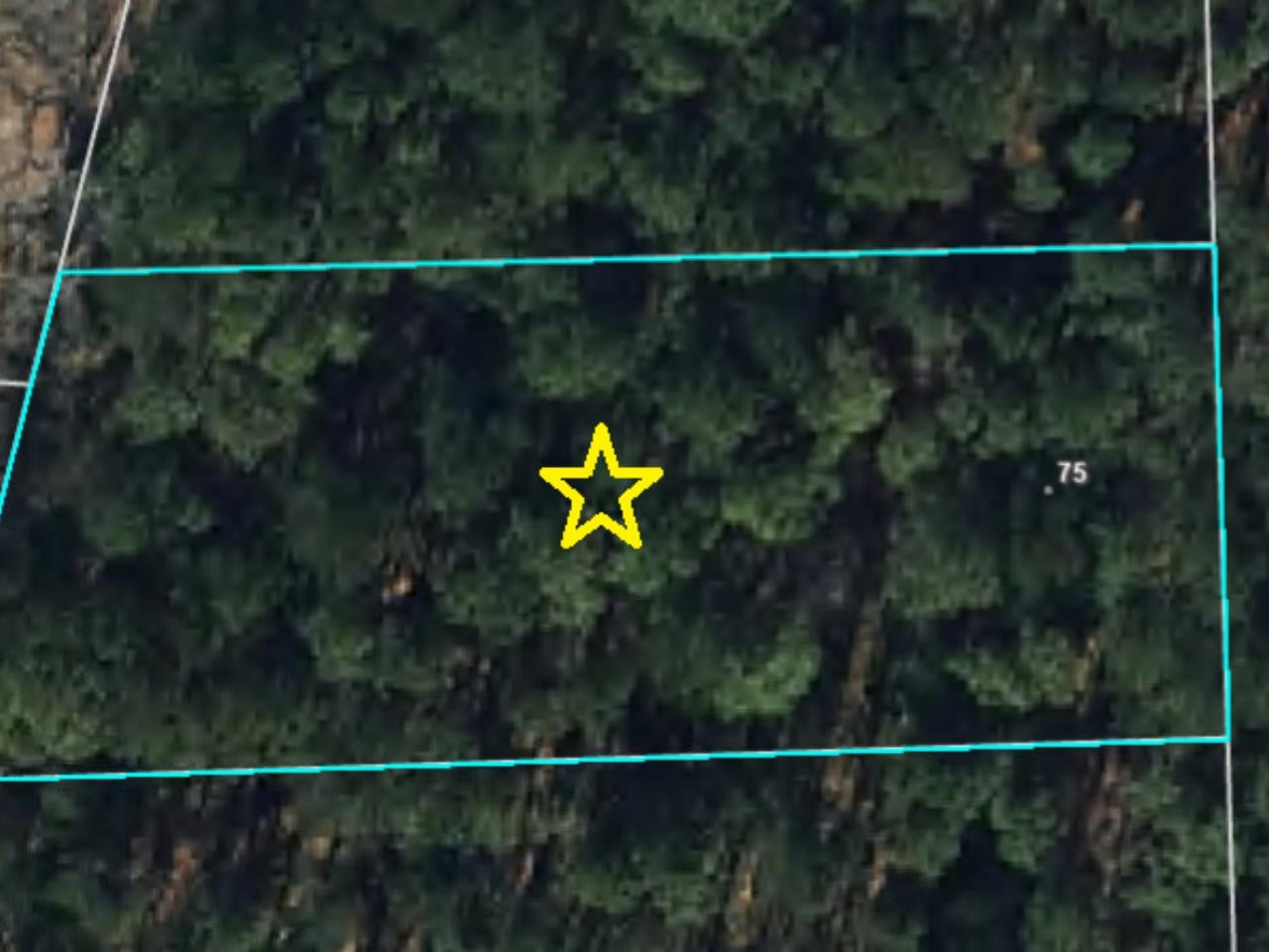 75 Regis Lane Coats, NC 27521 - Photo 35 of 37