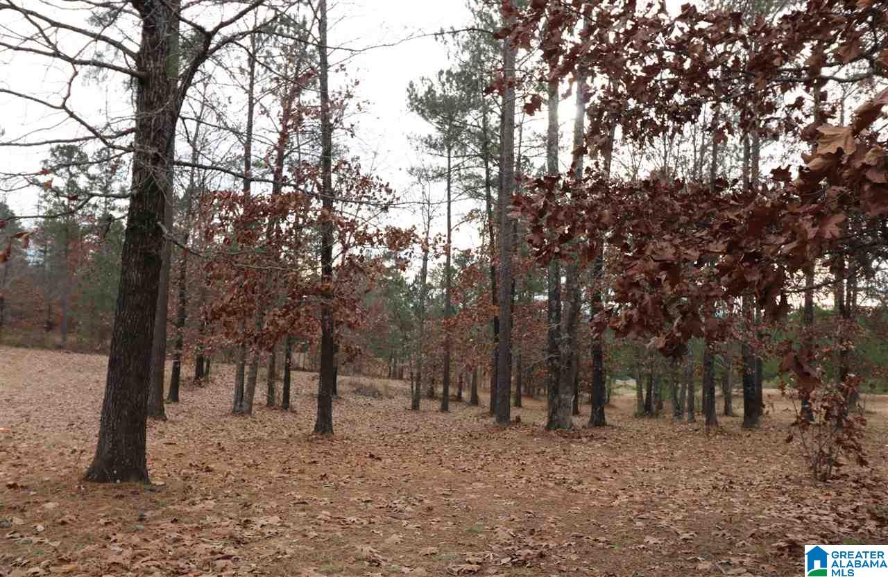 110 Rock Crest Road Odenville, AL 35120 - Photo 28 of 30