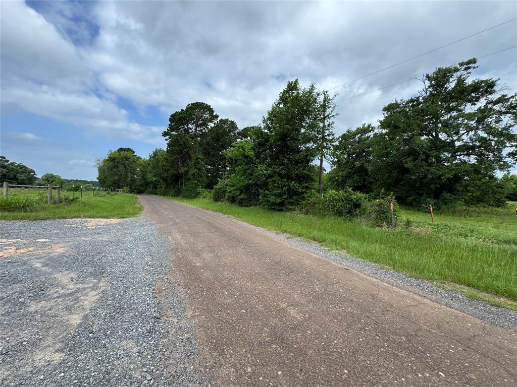7262 County Road Carthage, TX 75633 - Photo 19 of 39