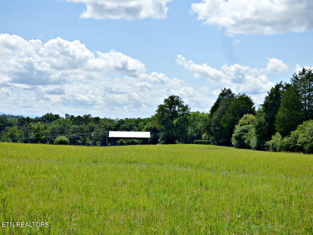 1182 Swannsylvania Road Dandridge, TN 37725 - Photo 10 of 10 #10-P1230713