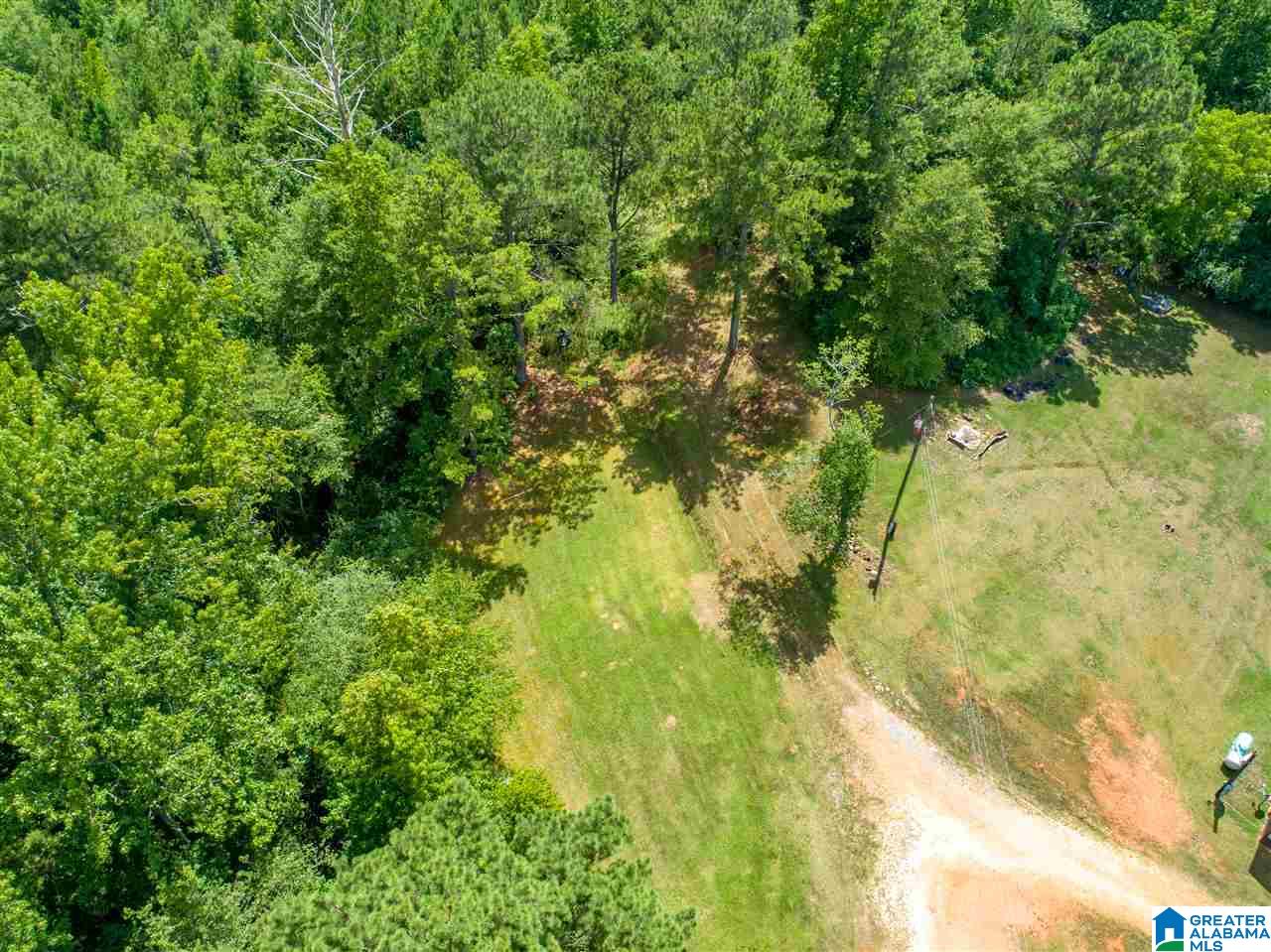 Broken Arrow Road Goodwater, AL 35072 - Photo 2 of 28