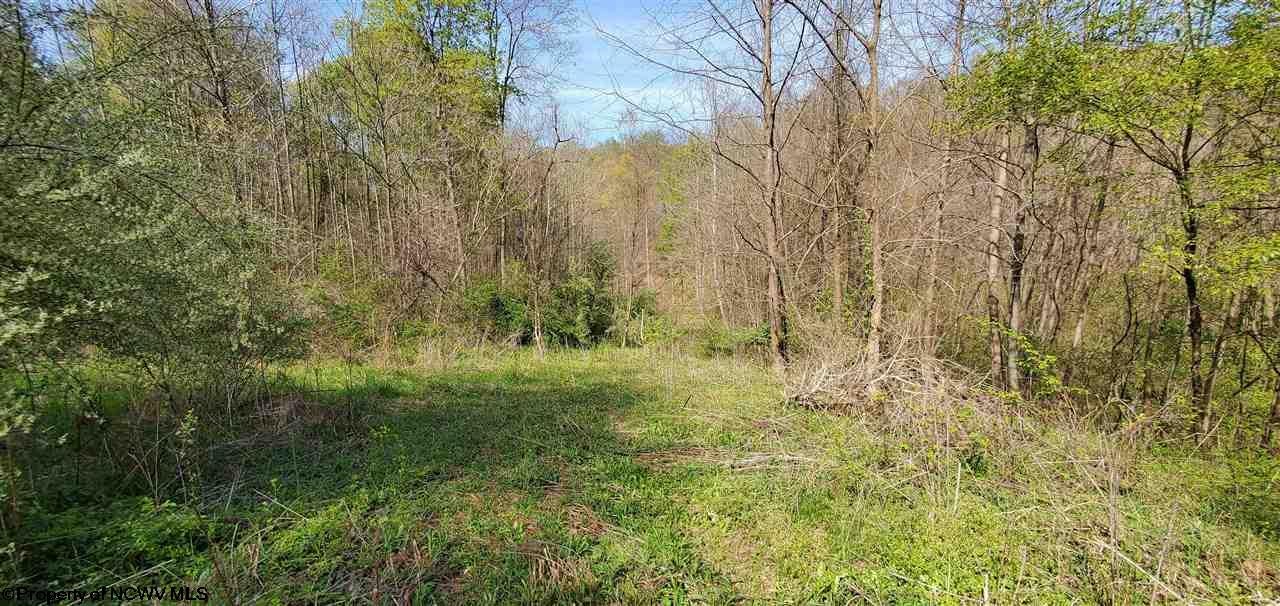 Tbd Ridenour Road Morgantown, WV 26508 - Photo 2 of 20 Gallery Image 2