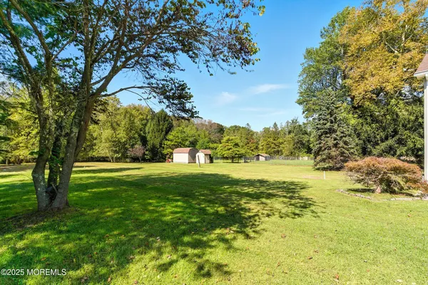 a view of field with large trees