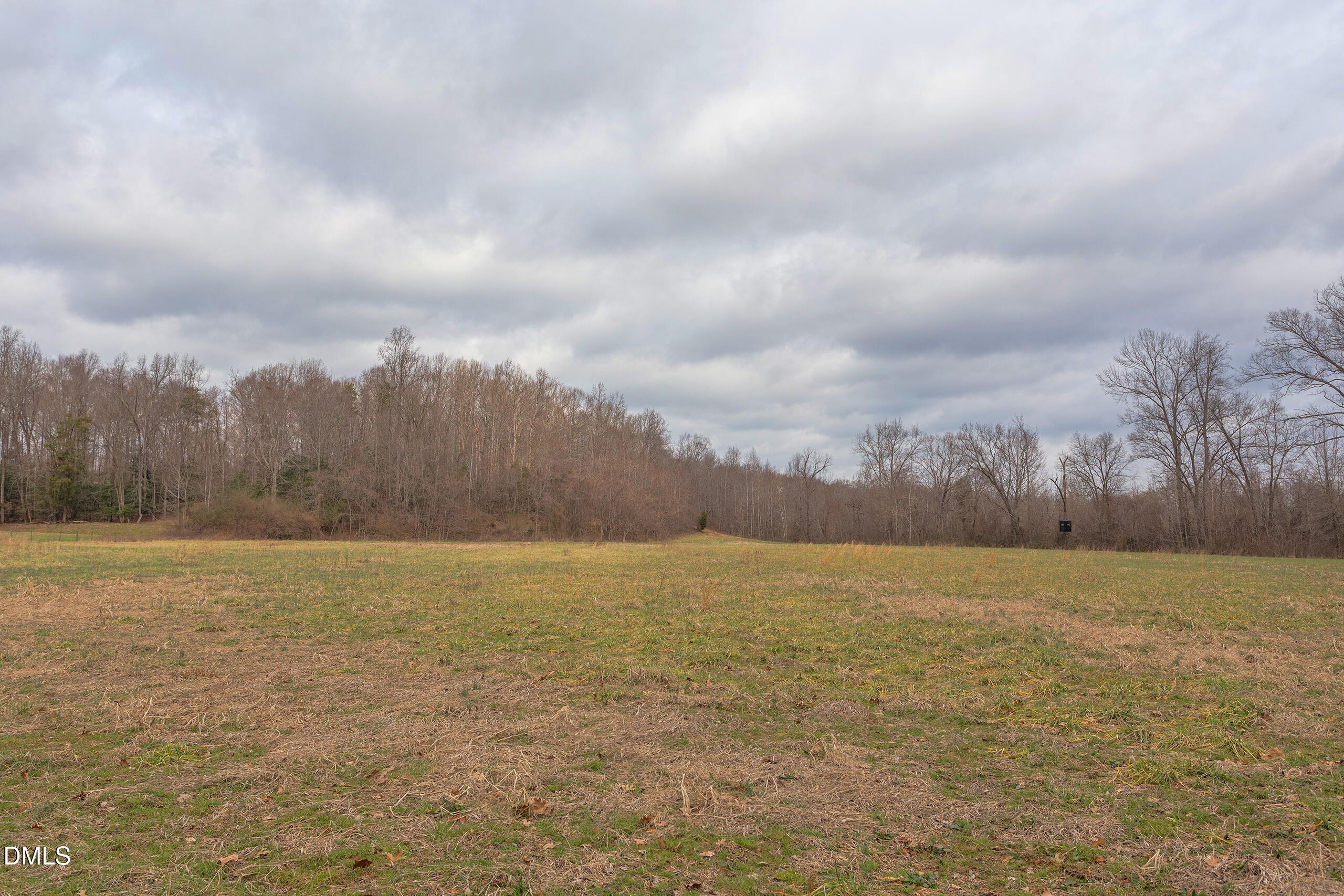 624 Bowen Road Rougemont, NC 27572 - Photo 18 of 20 a view of an ocean