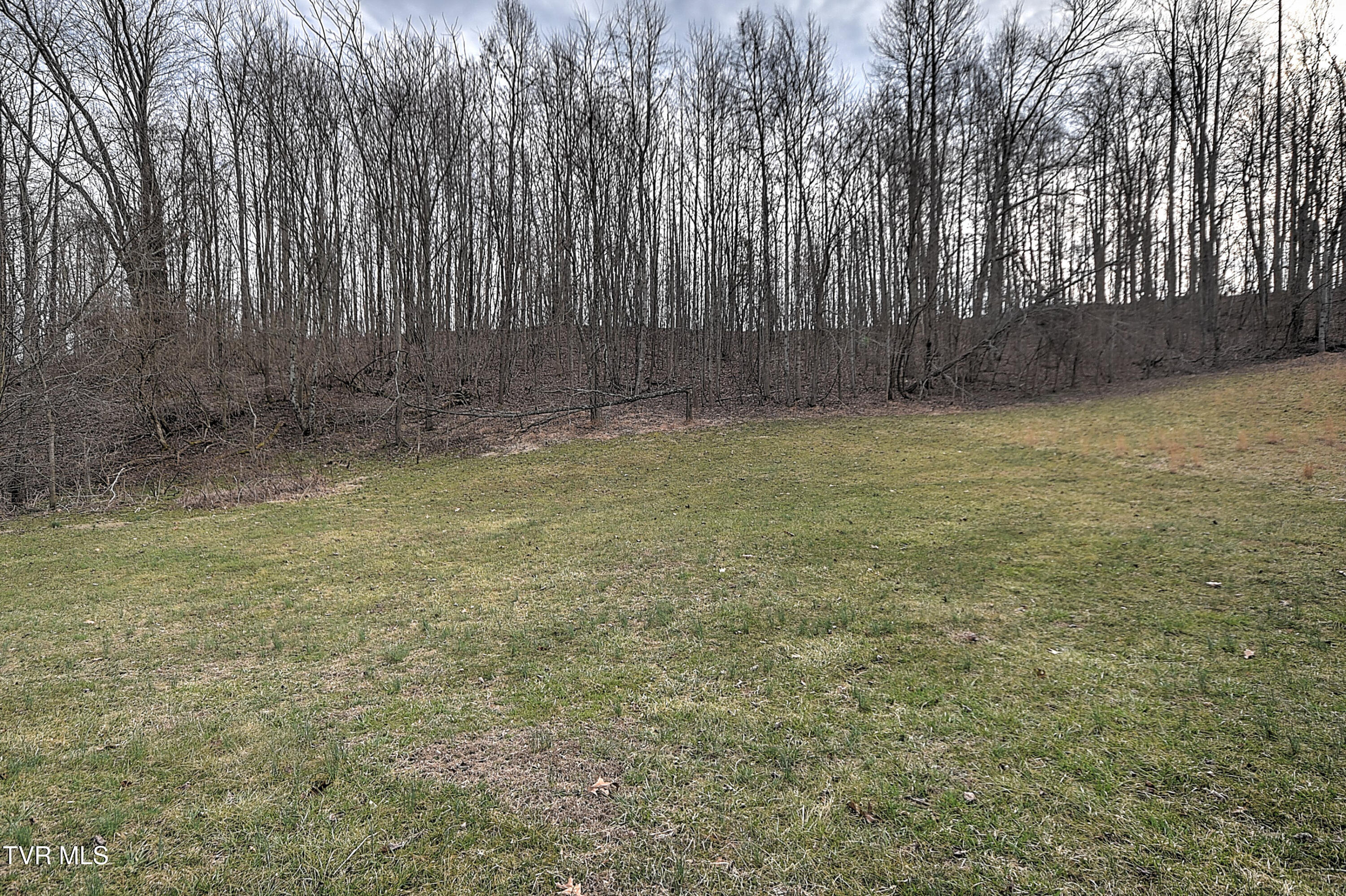 18378 Buffalo Pond Road Bristol, VA 24202 - Photo 33 of 41 Buffalo Pond SR-40