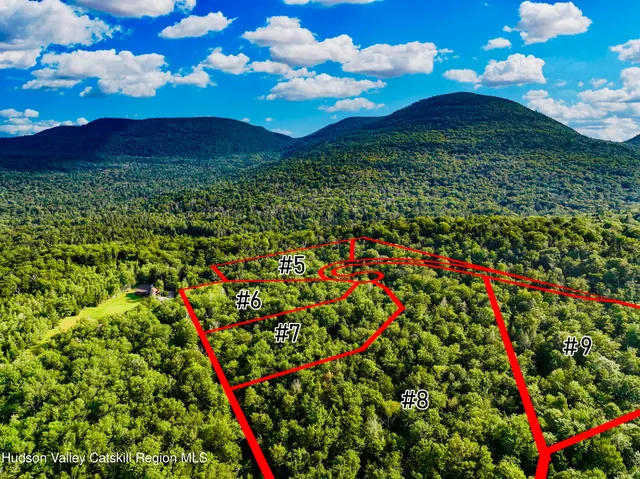 a view of a bunch of flowers