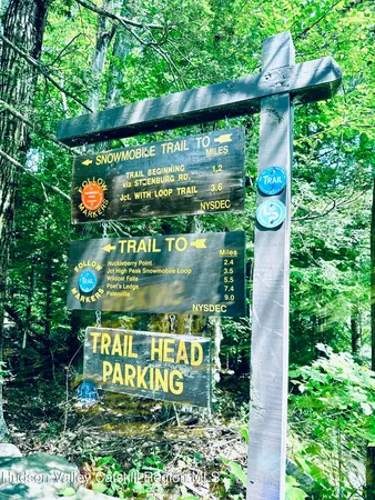 a view of outdoor space and trees