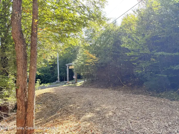 a view of a yard with plants and trees