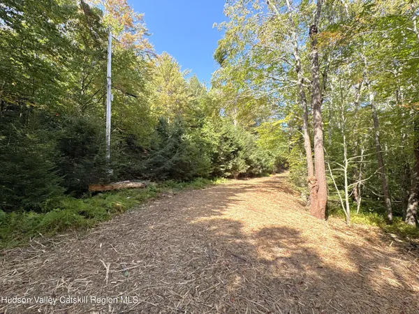 $165,000 | 14 Corfu Road, Elka Park, NY 12427