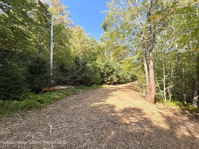 $165,000 | 14 Corfu Road, Elka Park, NY 12427