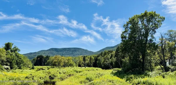 a picture of a field with a tree