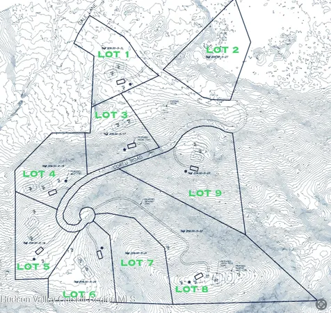 a view of a forest with trees in the background