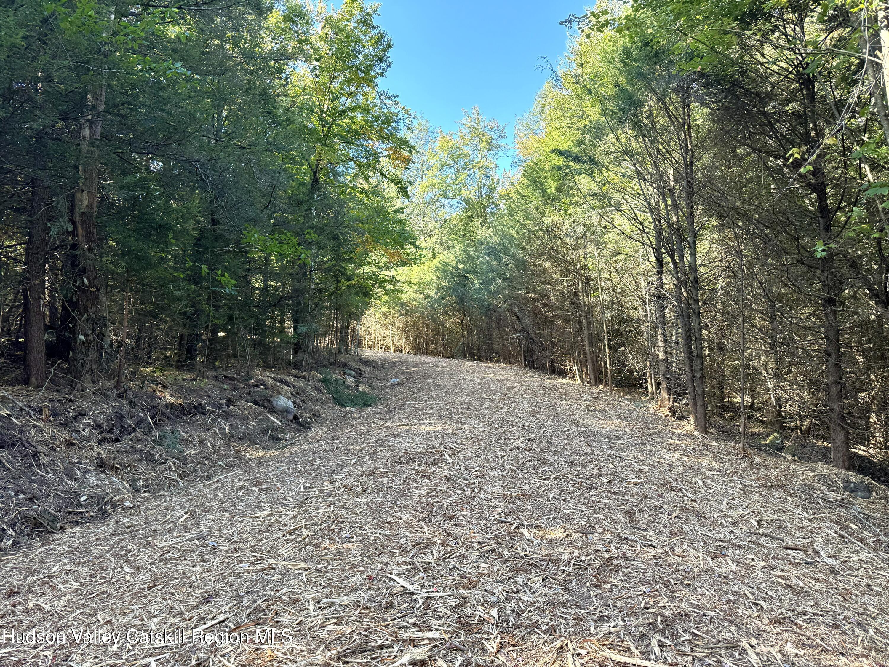 14 Corfu Road Elka Park, NY 12427 - Photo 7 of 29 a view of a forest with trees in the background