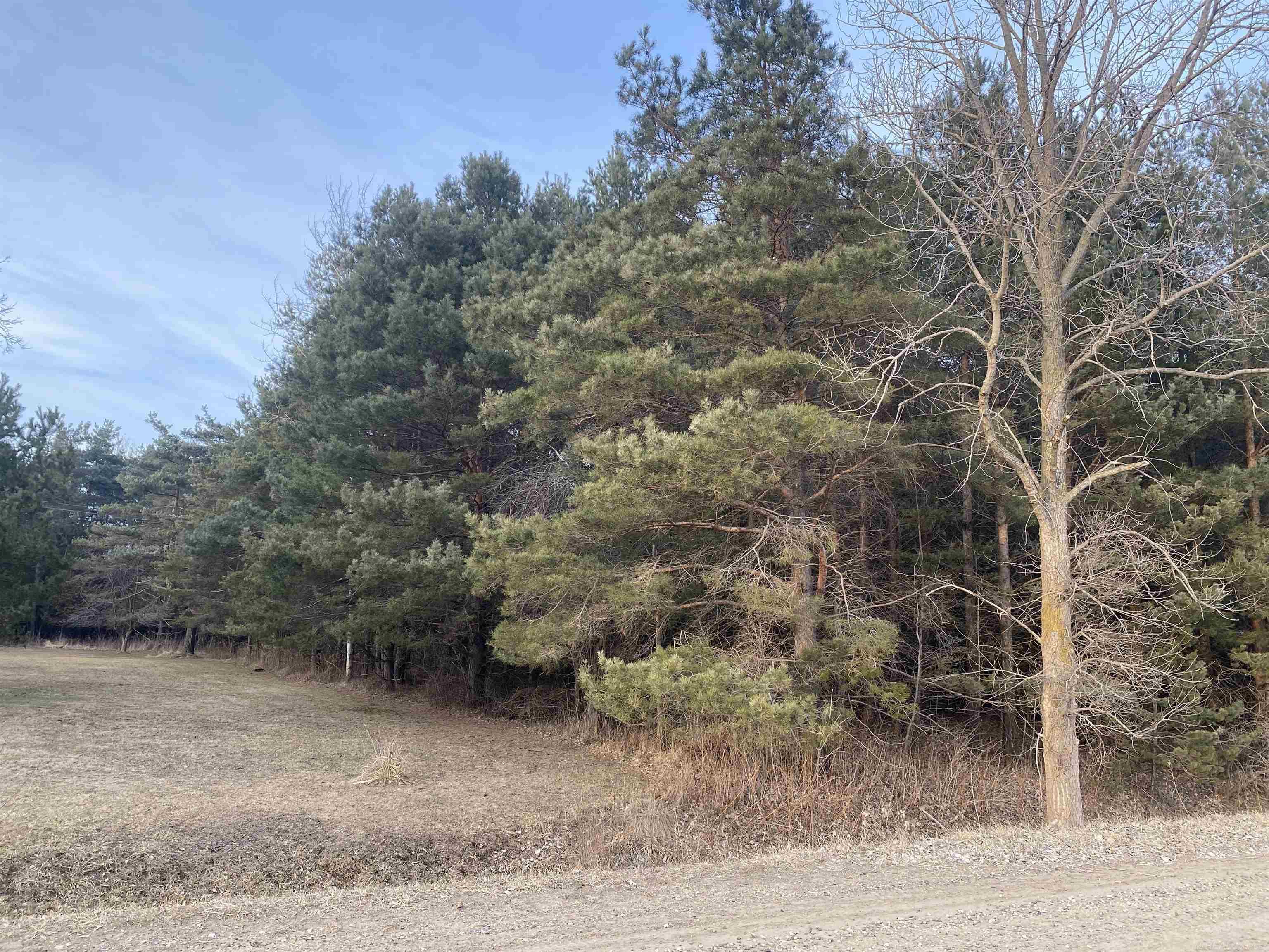 Mann Rd Port Port Sanilac, MI 48469 - Photo 13 of 20