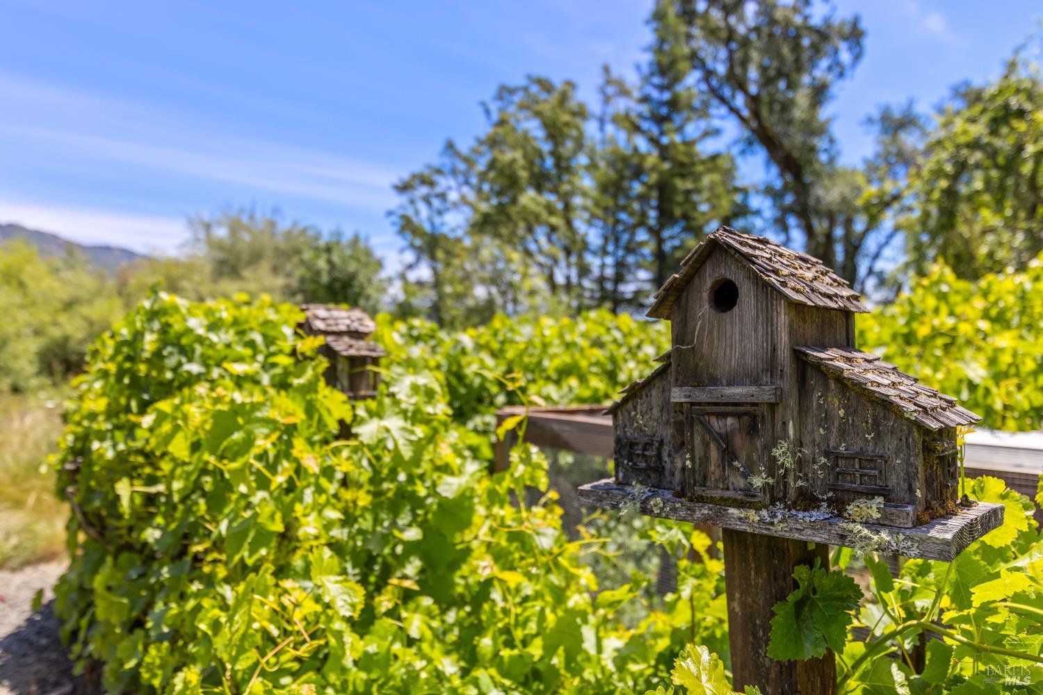 13511 Powerhouse Road Potter Valley, CA 95469 - Photo 46 of 73