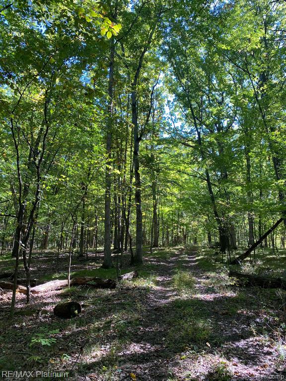 9532 Scully Road Whitmore Lake, MI 48189 - Photo 20 of 27