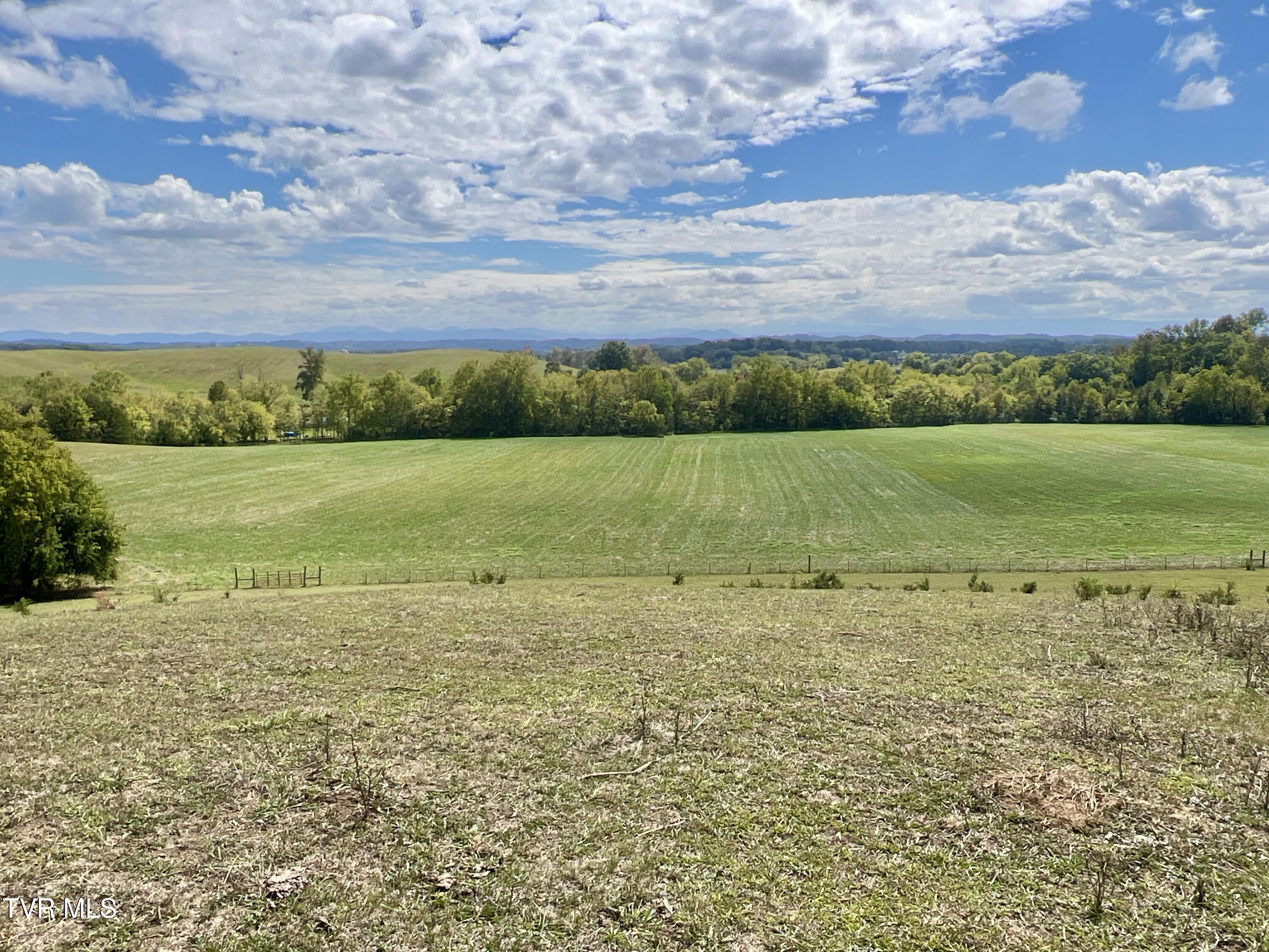 1550 Mt Hope Road, Unit 1 Mohawk, TN 37810 - Photo 101 of 113 _Pic100 (2)