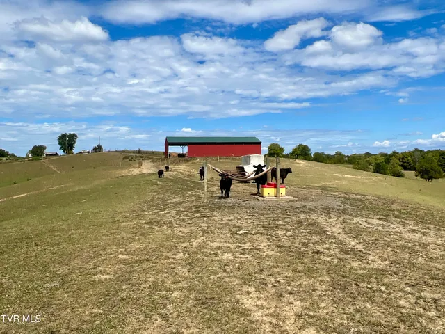 $4,900,000 | 1550 Mt Hope Road, Unit 1, Mohawk, TN 37810