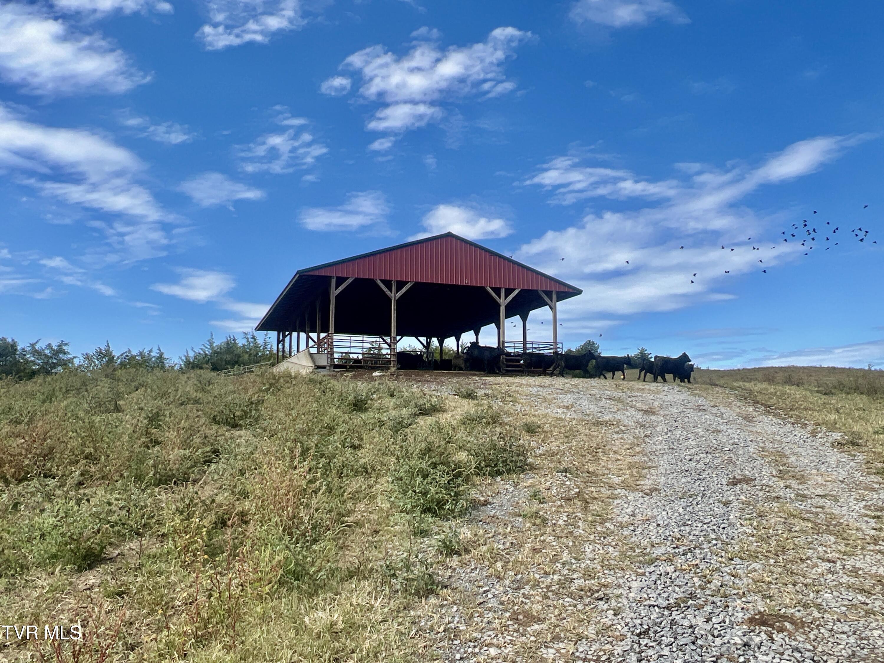 1550 Mt Hope Road, Unit 1 Mohawk, TN 37810 - Photo 35 of 113 _Pic35 (35)