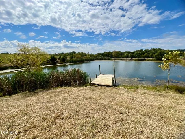 $4,900,000 | 1550 Mt Hope Road, Unit 1, Mohawk, TN 37810