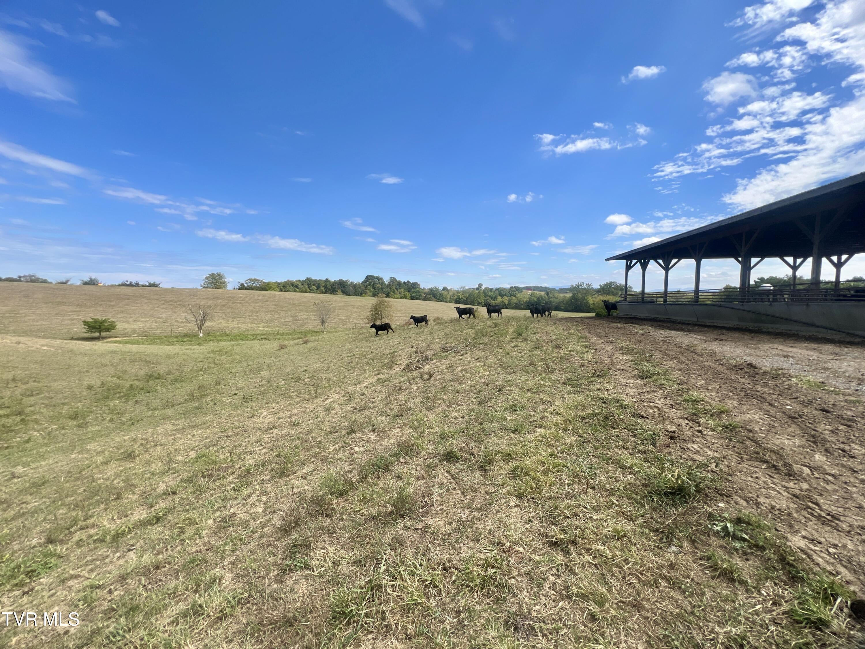 1550 Mt Hope Road, Unit 1 Mohawk, TN 37810 - Photo 41 of 113 _Pic40 (29)