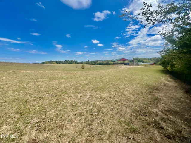 $4,900,000 | 1550 Mt Hope Road, Unit 1, Mohawk, TN 37810