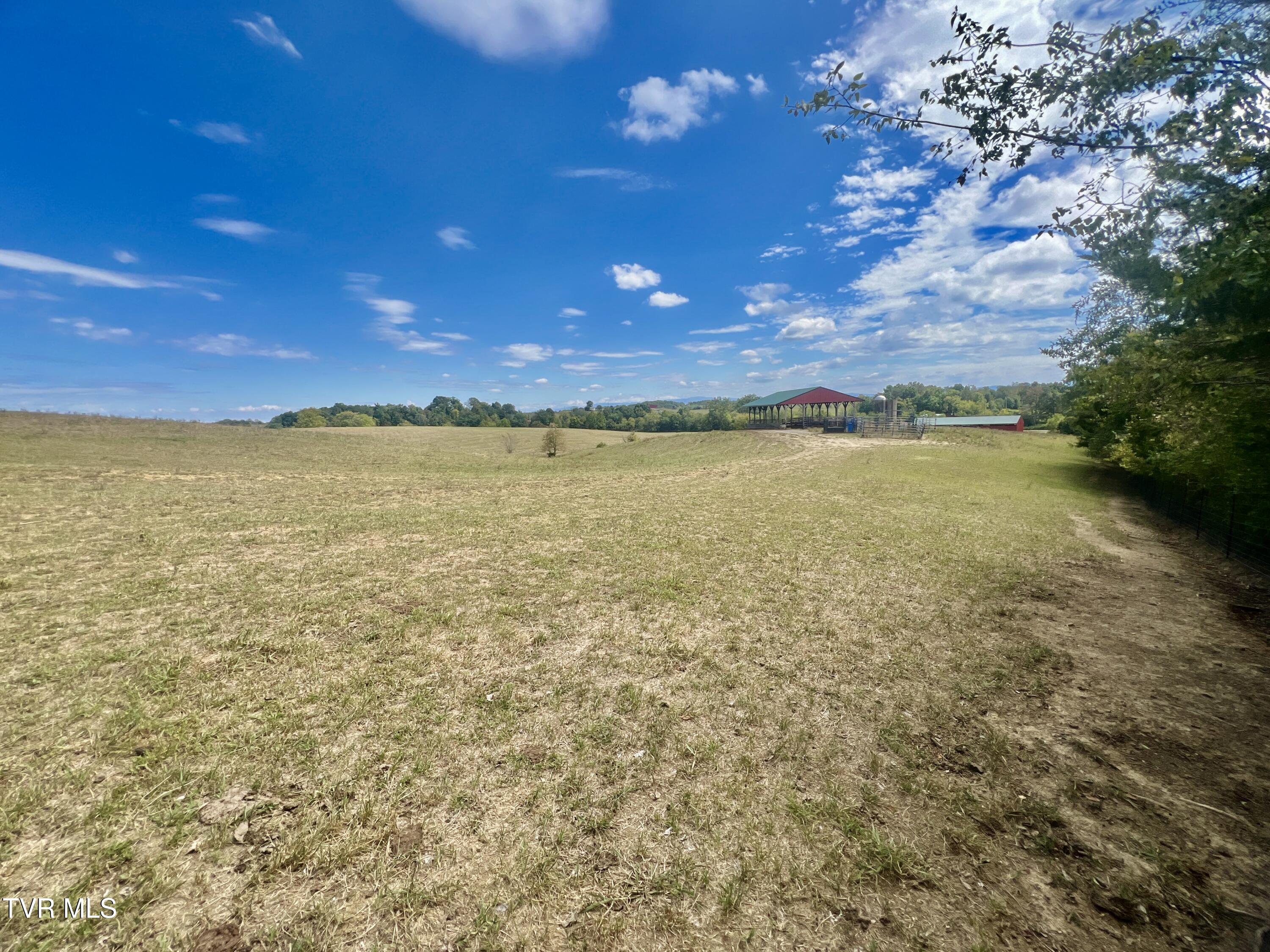 1550 Mt Hope Road, Unit 1 Mohawk, TN 37810 - Photo 42 of 113 _Pic41 (30)