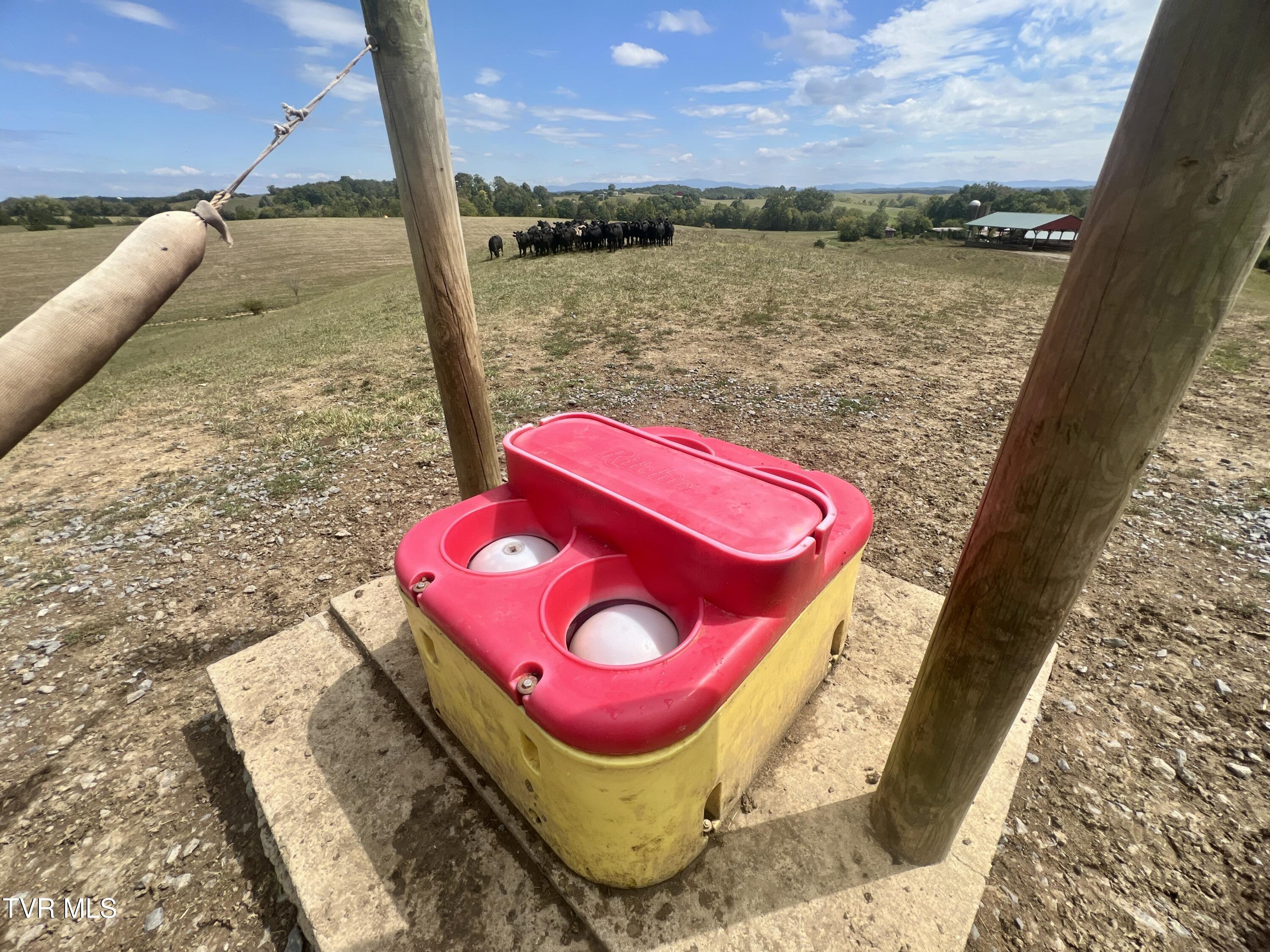 1550 Mt Hope Road, Unit 1 Mohawk, TN 37810 - Photo 43 of 113 _Pic42 (29)