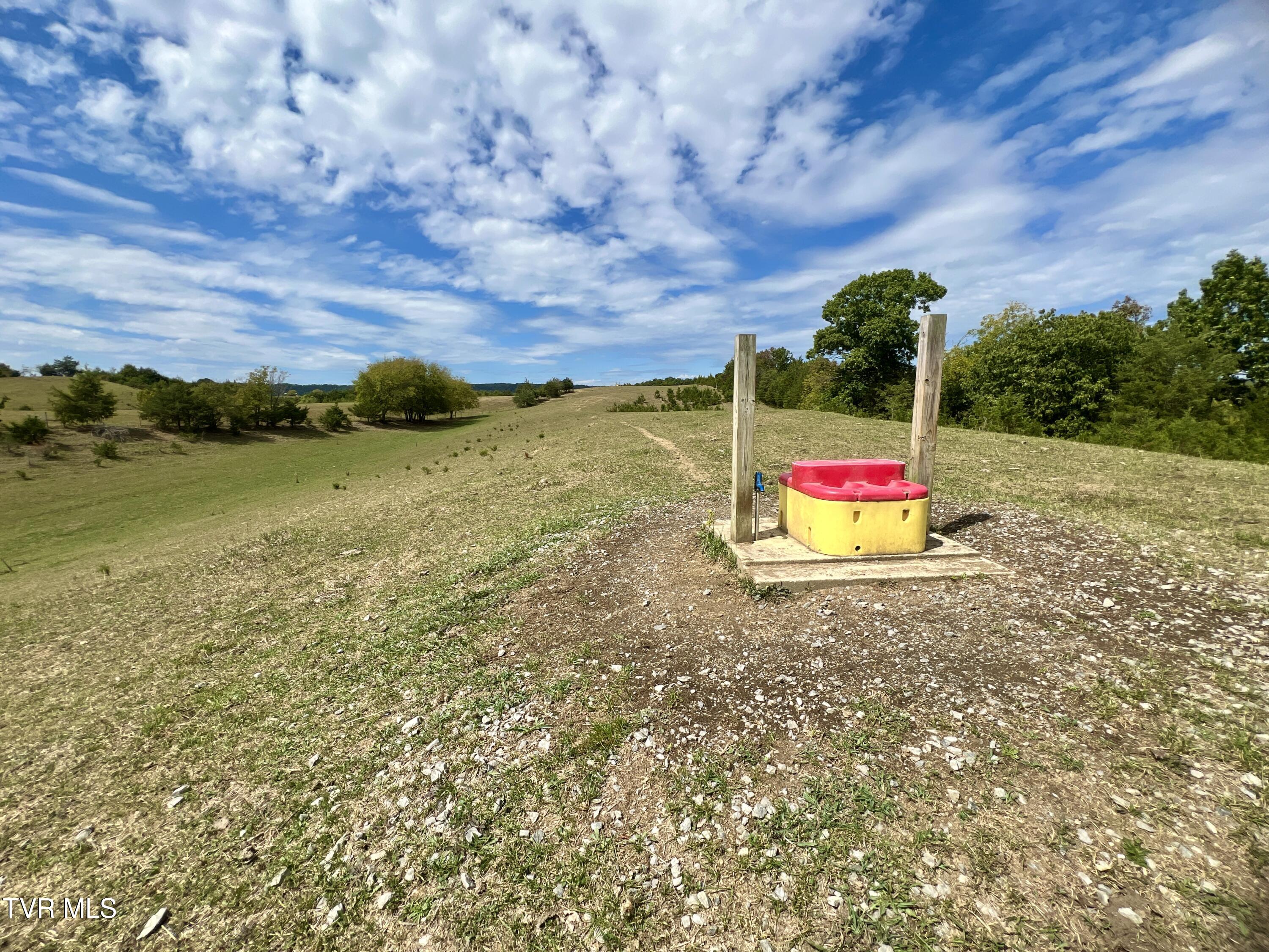 1550 Mt Hope Road, Unit 1 Mohawk, TN 37810 - Photo 44 of 113 _Pic43 (28)