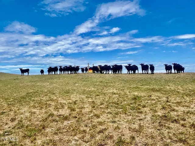 $4,900,000 | 1550 Mt Hope Road, Unit 1, Mohawk, TN 37810