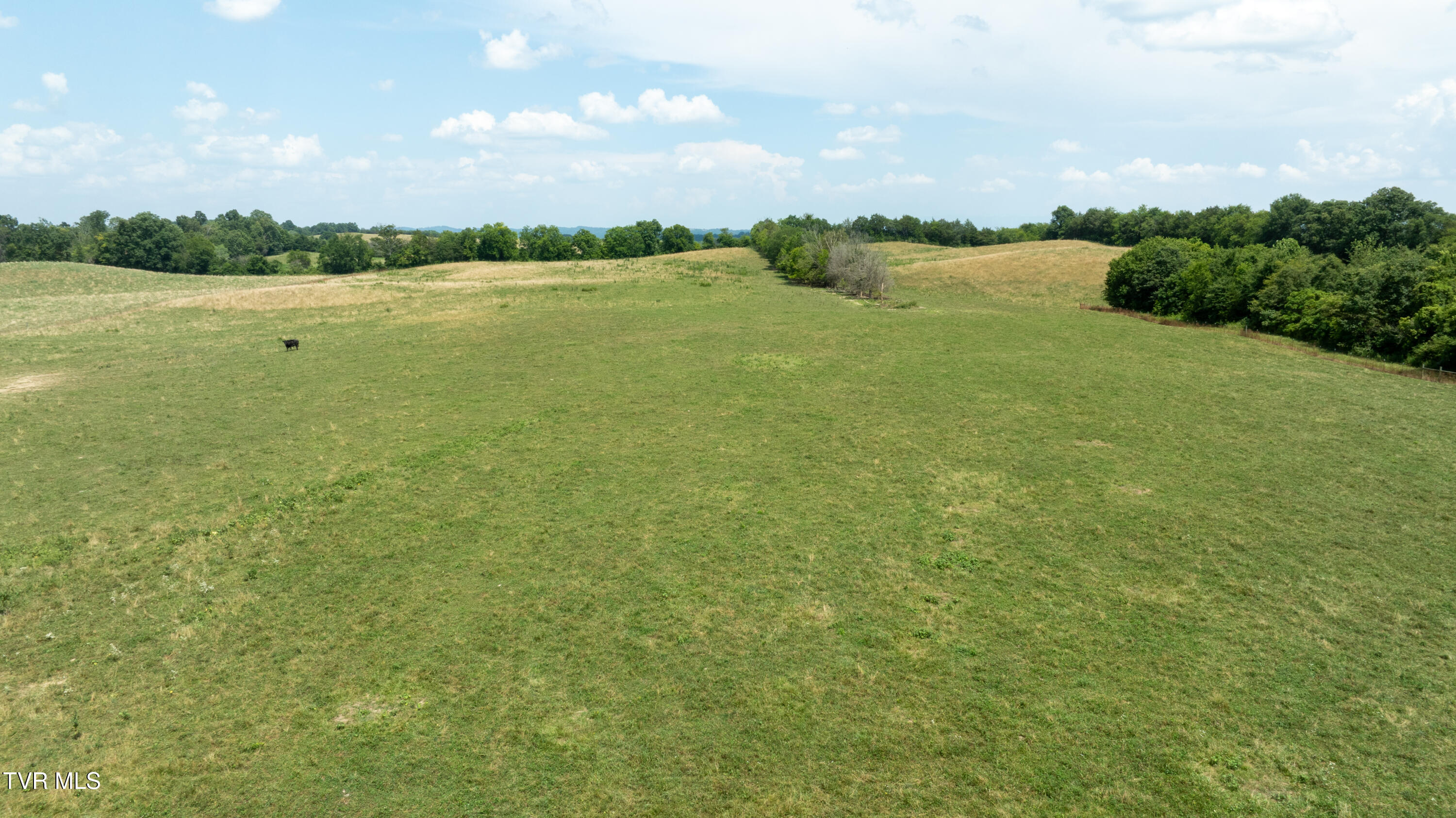 1550 Mt Hope Road, Unit 1 Mohawk, TN 37810 - Photo 49 of 113 _Pic48 (27)