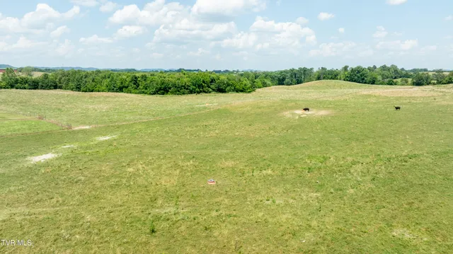 $4,900,000 | 1550 Mt Hope Road, Unit 1, Mohawk, TN 37810