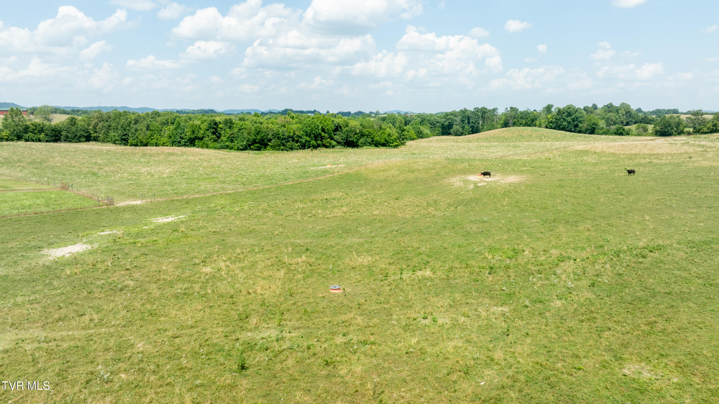 1550 Mt Hope Road, Unit 1 Mohawk, TN 37810 - Photo 50 of 113 _Pic49 (29)