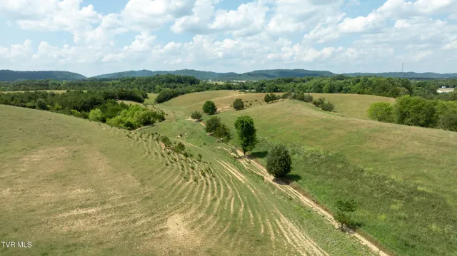 $4,900,000 | 1550 Mt Hope Road, Unit 1, Mohawk, TN 37810