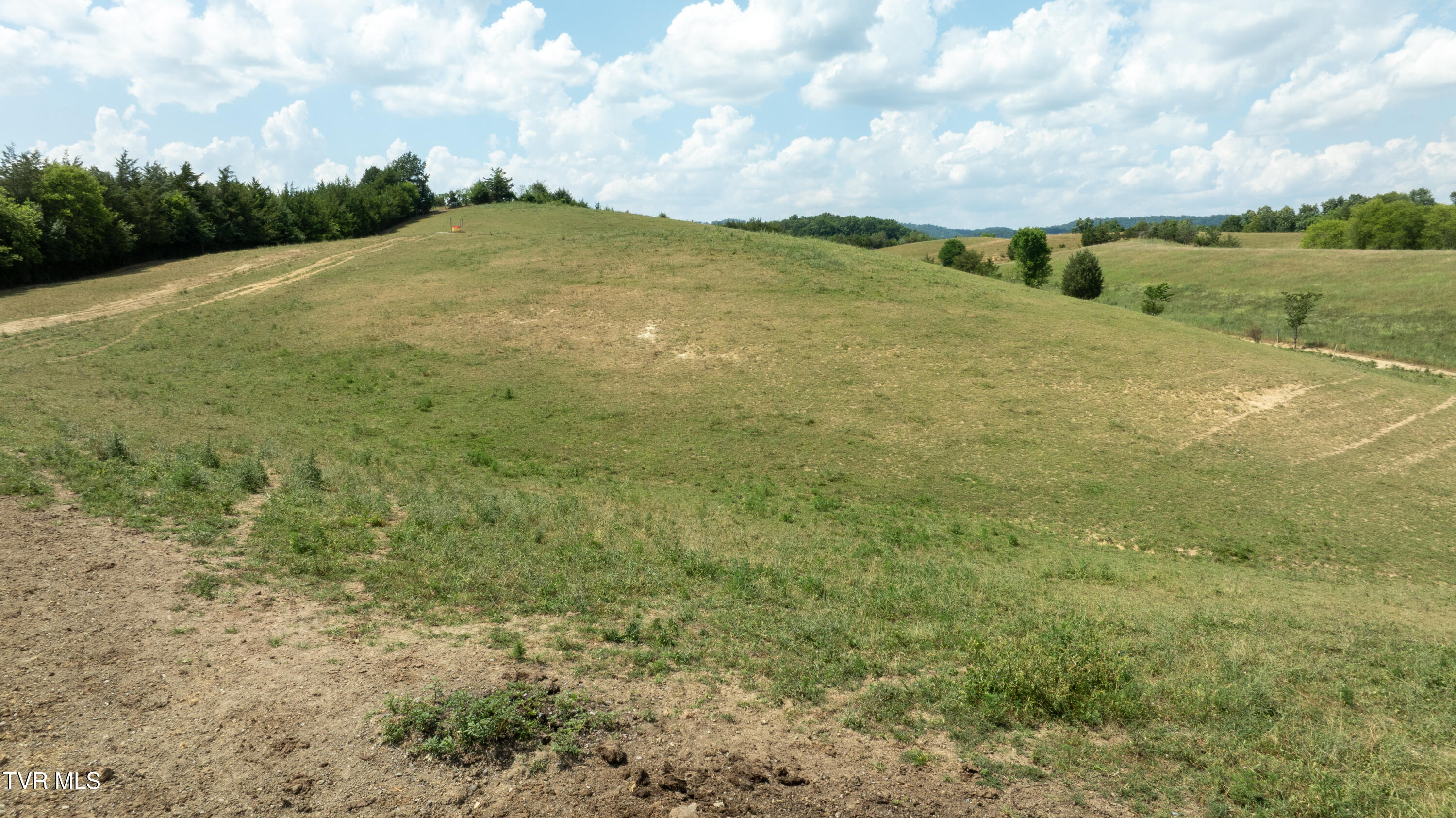 1550 Mt Hope Road, Unit 1 Mohawk, TN 37810 - Photo 53 of 113 _Pic52 (27)