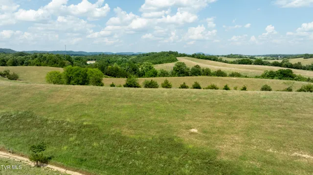 $4,900,000 | 1550 Mt Hope Road, Unit 1, Mohawk, TN 37810