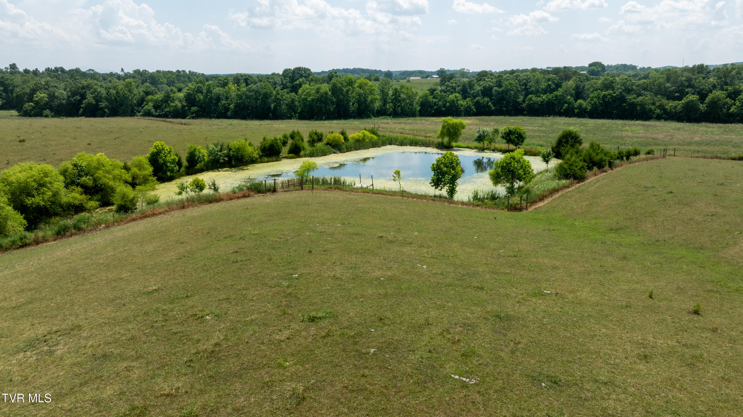 1550 Mt Hope Road, Unit 1 Mohawk, TN 37810 - Photo 58 of 113 _Pic57 (21)