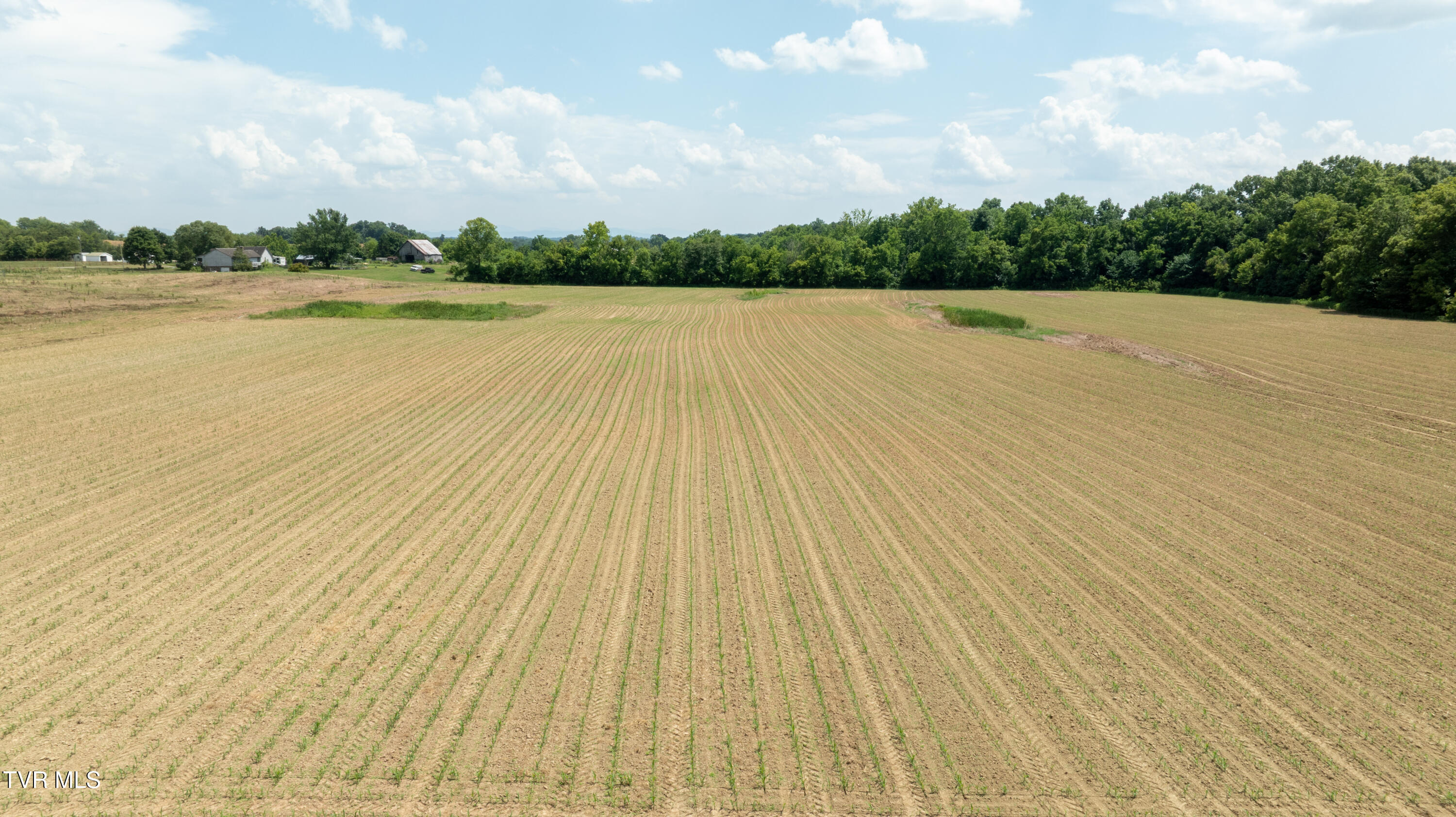 1550 Mt Hope Road, Unit 1 Mohawk, TN 37810 - Photo 69 of 113 _Pic68 (17)