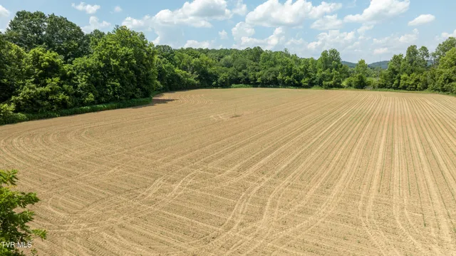 $4,900,000 | 1550 Mt Hope Road, Unit 1, Mohawk, TN 37810