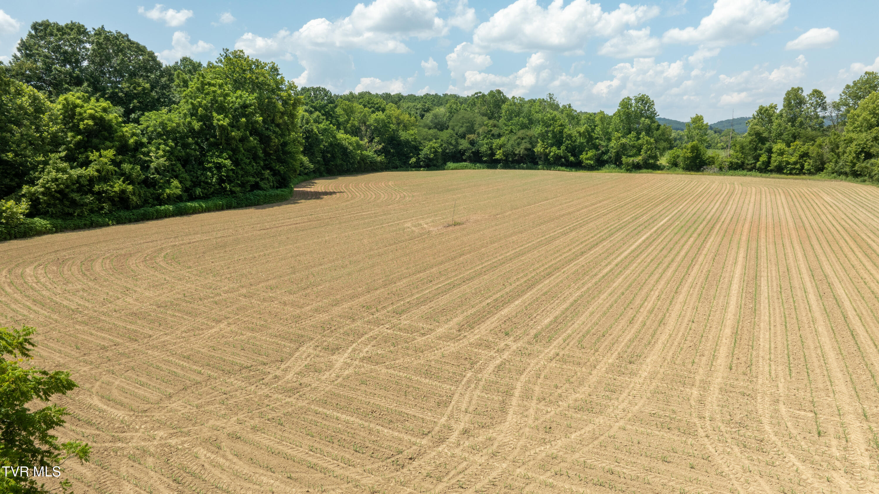 1550 Mt Hope Road, Unit 1 Mohawk, TN 37810 - Photo 70 of 113 _Pic69 (16)