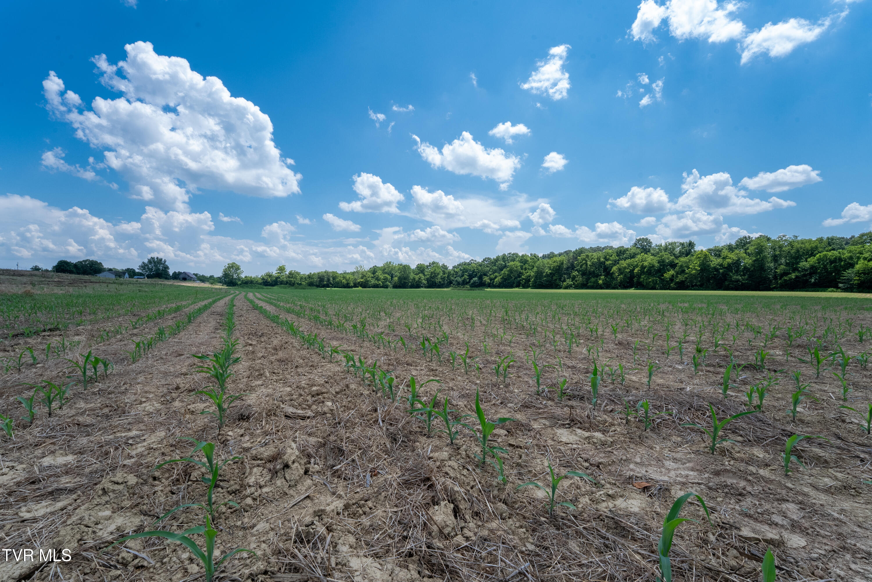 1550 Mt Hope Road, Unit 1 Mohawk, TN 37810 - Photo 71 of 113 _Pic70 (14)