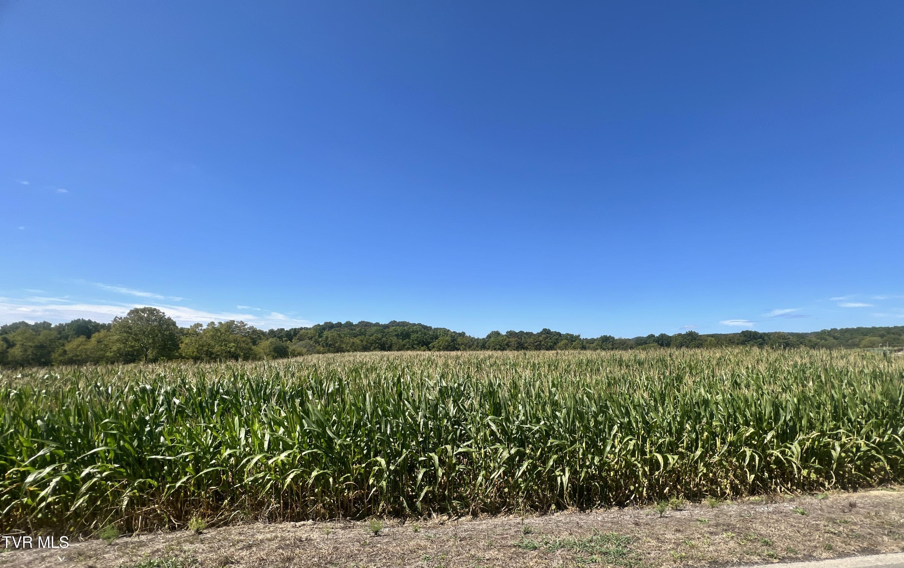 1550 Mt Hope Road, Unit 1 Mohawk, TN 37810 - Photo 72 of 113 _Pic71 (14)