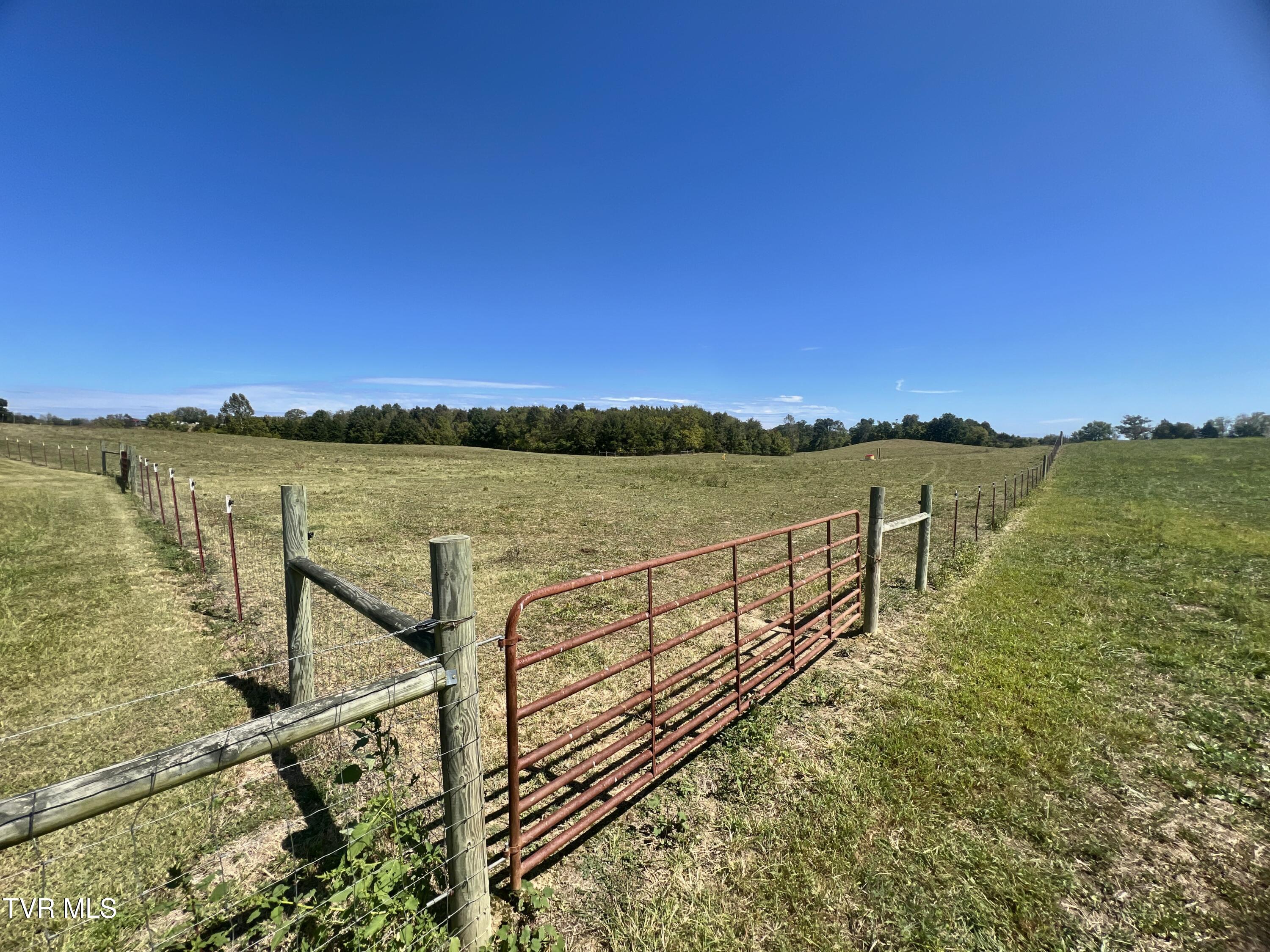 1550 Mt Hope Road, Unit 1 Mohawk, TN 37810 - Photo 75 of 113 _Pic74 (11)