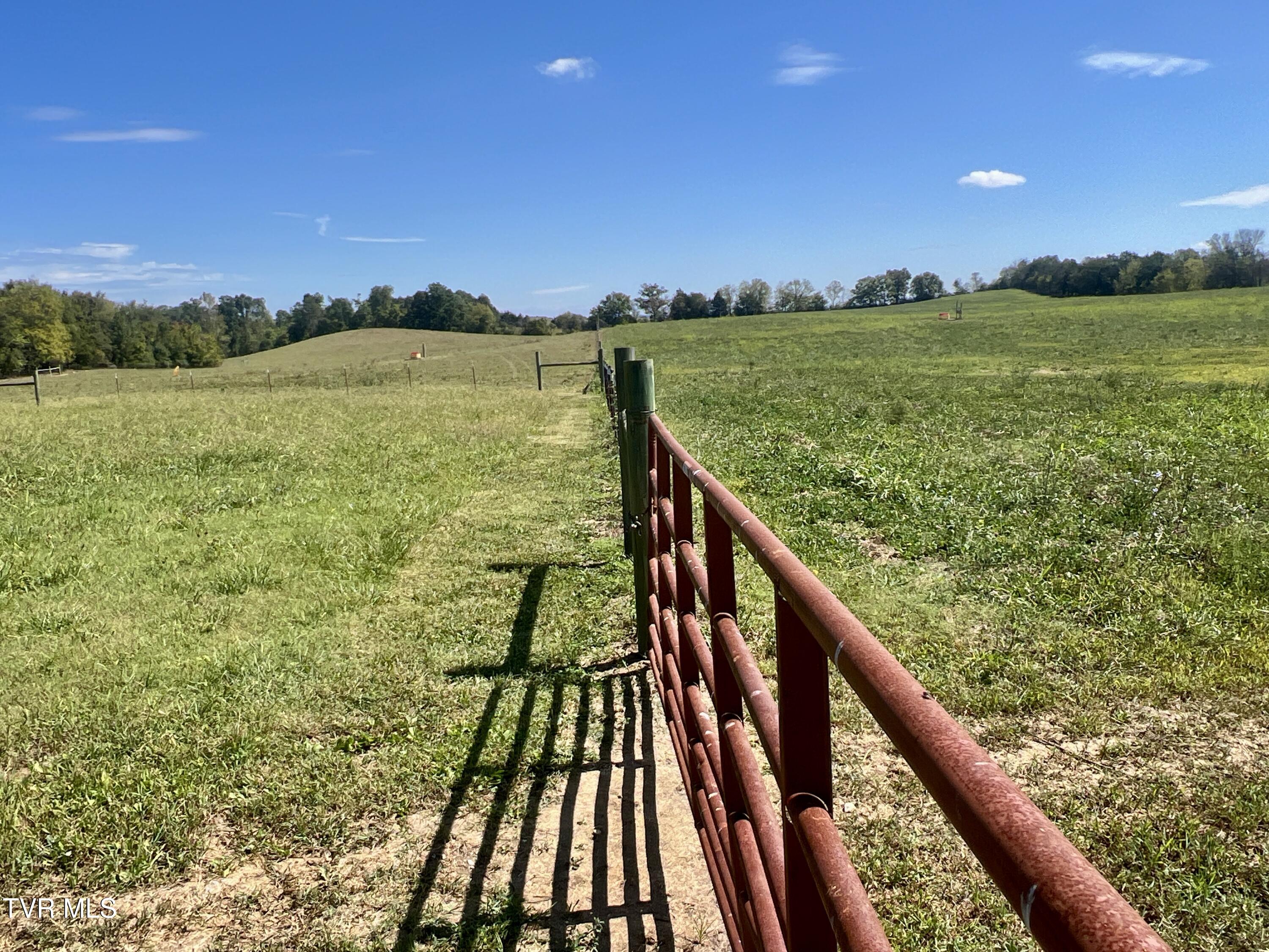 1550 Mt Hope Road, Unit 1 Mohawk, TN 37810 - Photo 76 of 113 _Pic75 (10)